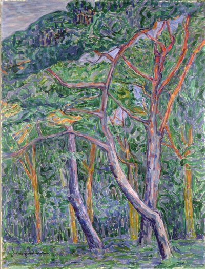 Furutrær av Jacoba van Heemskerck