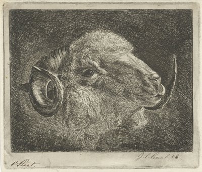 Hodet til en vær med horn vendt tilbake av Jacobus Cornelis Gaal (signed by artist)