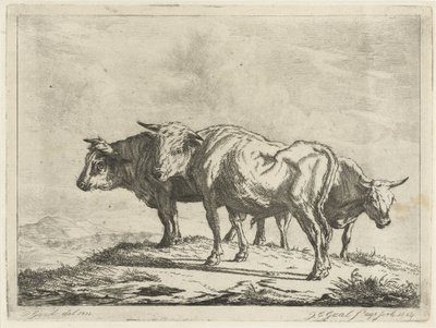 Tre okser av Jacobus Cornelis Gaal