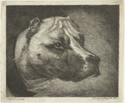 Hundehode med halsbånd av Jacobus Cornelis Gaal