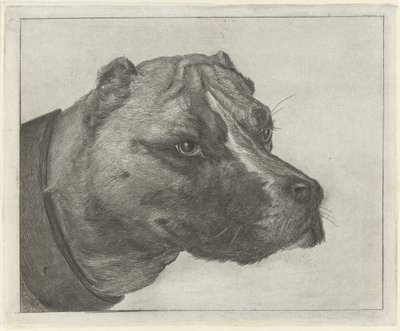 Hundehode med halsbånd av Jacobus Cornelis Gaal
