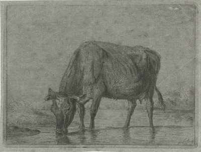 Ku drikker fra en sølepytt av Jacobus Cornelis Gaal