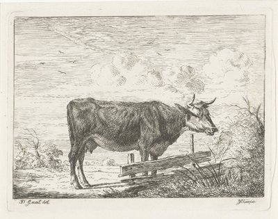 Ku som står ved et gjerde av Jacobus Cornelis Gaal