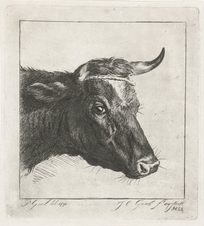 Hodet til en ku med tau rundt hornene av Jacobus Cornelis Gaal