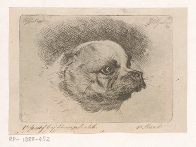 Hodet til en mops av Jacobus Cornelis Gaal