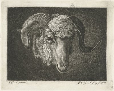 Hodet til en vær med skjeve horn av Jacobus Cornelis Gaal