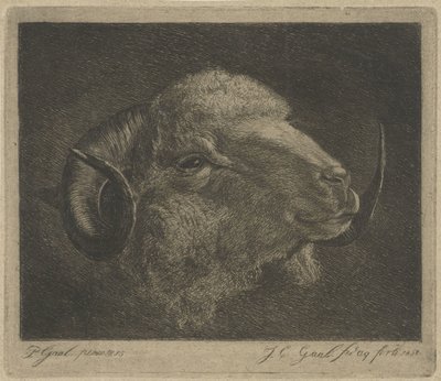 Hodet til en vær med horn vendt tilbake av Jacobus Cornelis Gaal