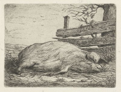 Liggende villsvin av Jacobus Cornelis Gaal
