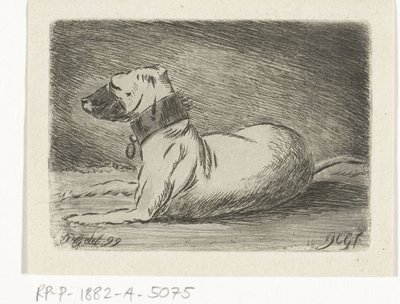 Liggende hund med halsbånd av Jacobus Cornelis Gaal