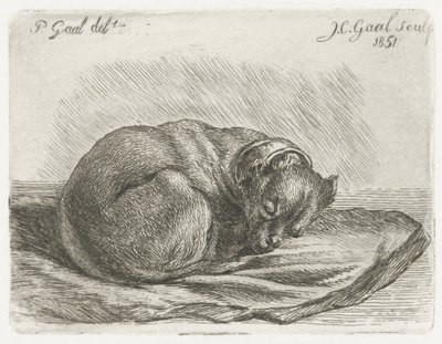 Sovende hund, liggende på et teppe av Jacobus Cornelis Gaal