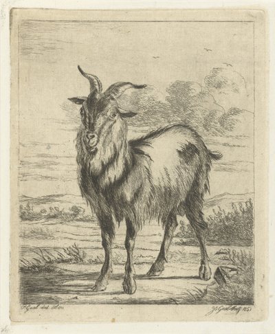 stående geit av Jacobus Cornelis Gaal