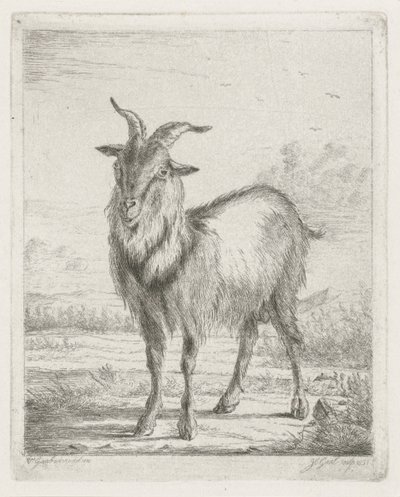 stående geit av Jacobus Cornelis Gaal