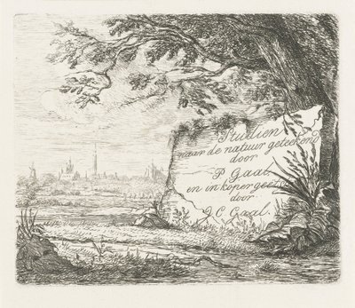 Tittelbilde for: Studier hentet fra naturen av Jacobus Cornelis Gaal