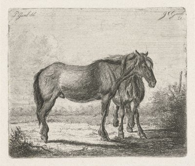 To hester av Jacobus Cornelis Gaal