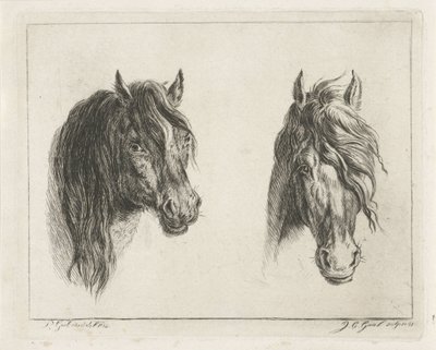 To hestehoder av Jacobus Cornelis Gaal