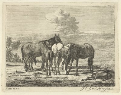 Fire hester og to føll av Jacobus Cornelis Gaal
