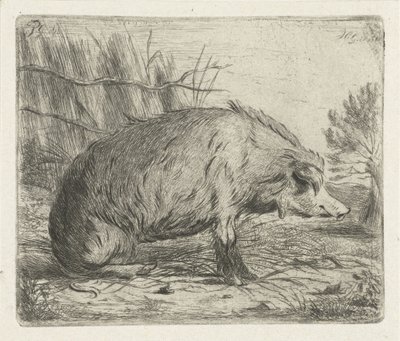 Sittende villsvin av Jacobus Cornelis Gaal