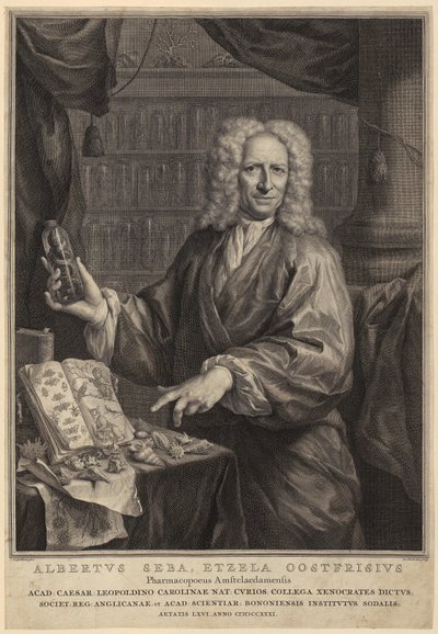  av Jacobus Houbraken