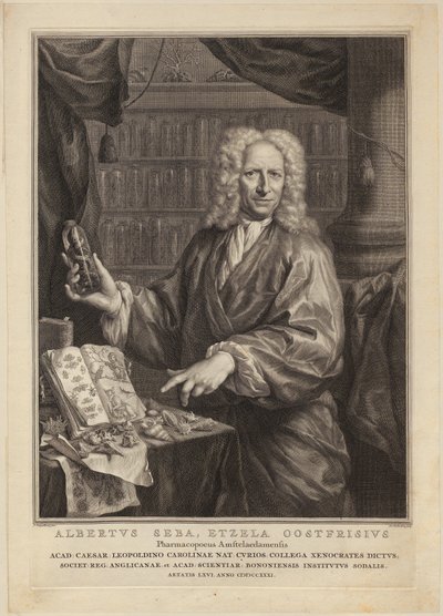  av Jacobus Houbraken