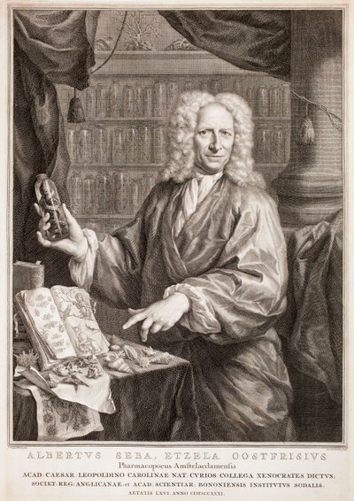  av Jacobus Houbraken