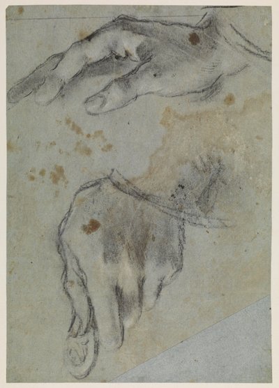 Studier av hender, recto, 1500-tallet av Jacopo Bassano