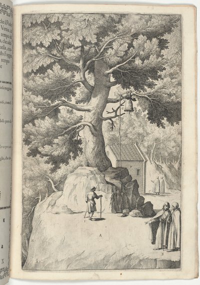 Bøketre med klokken (Faggio della campana) [plate X] av Jacopo Ligozzi