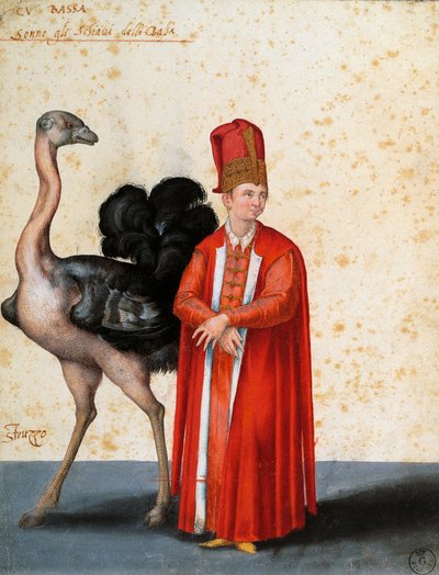 Slave med struts, tegning av Jacopo Ligozzi (1547-1627) av Jacopo Ligozzi