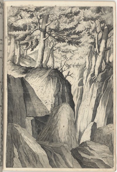 The Prominent Rock (Sasso spicco) [plate I] av Jacopo Ligozzi