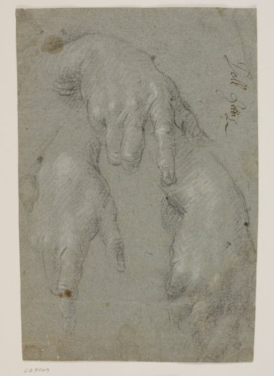 Tre studier av en høyre hånd av Jacopo Palma