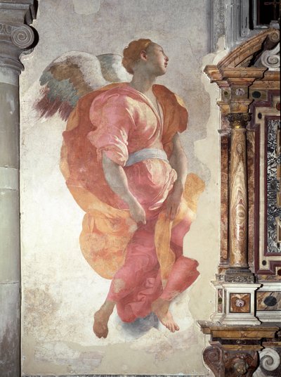 Kunngjøring. Detalj av engelen - Fresco av Jacopo Pontormo