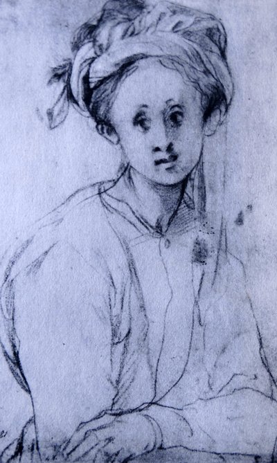  av Jacopo Pontormo