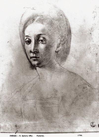 Hodet til en kvinne (kritt på papir) av Jacopo Pontormo