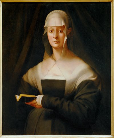  av Jacopo Pontormo