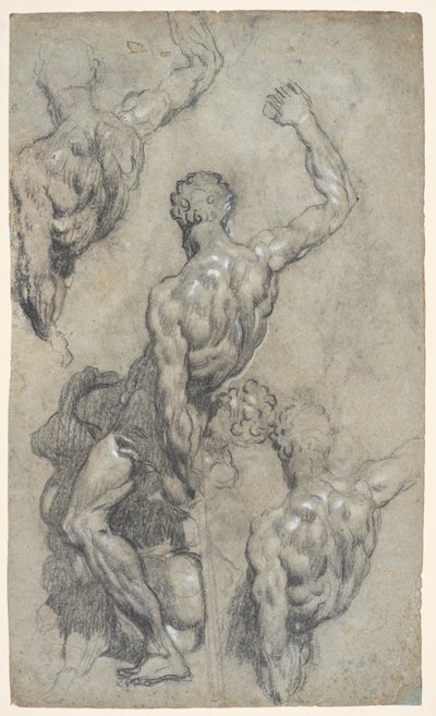 Studier av Michelangelos "Samson and the Philistines", ca. 1575–85 (kritt, kull, gouache, papir) av Jacopo Robusti (workshop of) Tintoretto