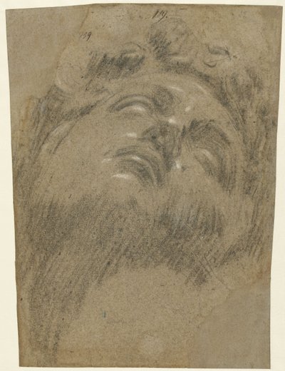 Giuliano dei Medici etter Michelangelo, ca. 1550 (kritt på papir) av Jacopo Robusti Tintoretto