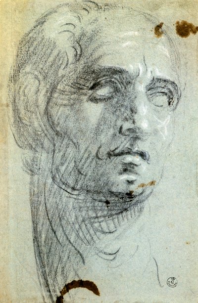 Mannlig hode av Jacopo Robusti kjent som Tintoretto (1518-1594), tegning av Jacopo Robusti Tintoretto