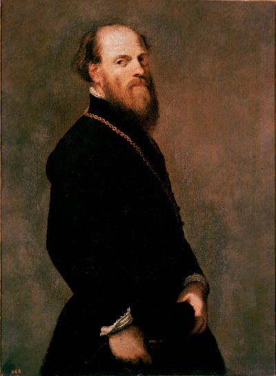 Portrett av en gentleman i gullkjeden maleri av Jacopo Robusti dit Tintoretto av Jacopo Robusti Tintoretto