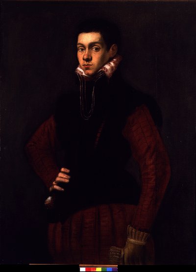 Portrett av en ung mann, ca. 1565 (olje på lerret) av Jacopo Robusti Tintoretto