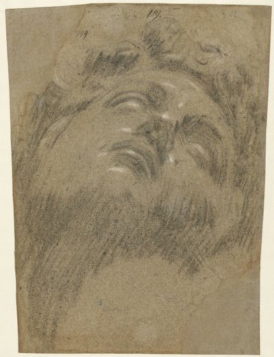 Hoved av Giuliano dei Medici av Jacopo Tintoretto
