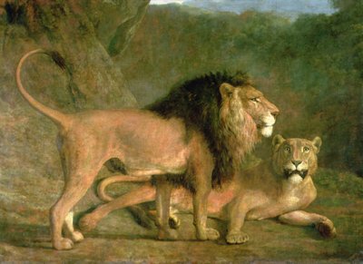 A Lion and a Lioness in a Rocky Valley (olje på lerret) av Jacques Laurent Agasse