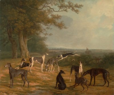 Ni greyhounds i et landskap av Jacques-Laurent Agasse