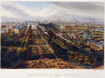 Utsikt over Jardin des Plantes - litografi av Testard av Jacques Alphonse (after) Testard
