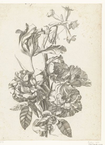 Bukett med peoner, en tulipan og en brodiaea Diverse Fleurs mises en Boucquets (serietittel) av Jacques Bailly (I)