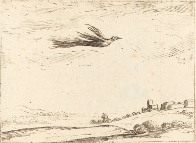 Fugl av paradis av Jacques Callot