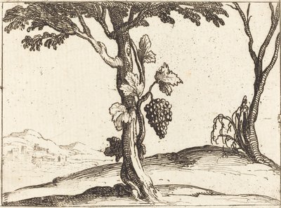 Klase med druer av Jacques Callot