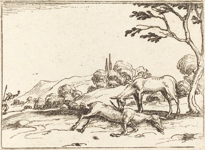Doe sørger over føllet sitt av Jacques Callot