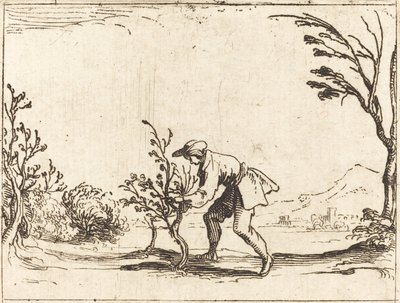 Mann som kutter et balsam-tre av Jacques Callot