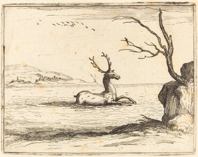 Hjort i vannet av Jacques Callot