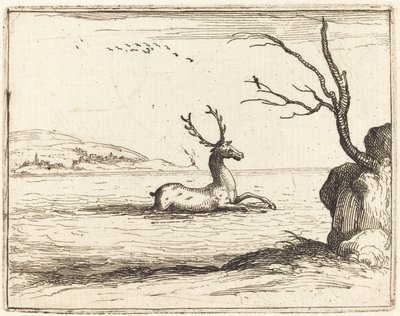 Hjort i vannet av Jacques Callot