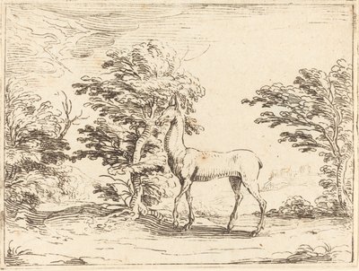 Doe av Jacques Callot